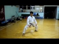 gojuryu internatinaol karatedo kobudo union yuzenkai japan